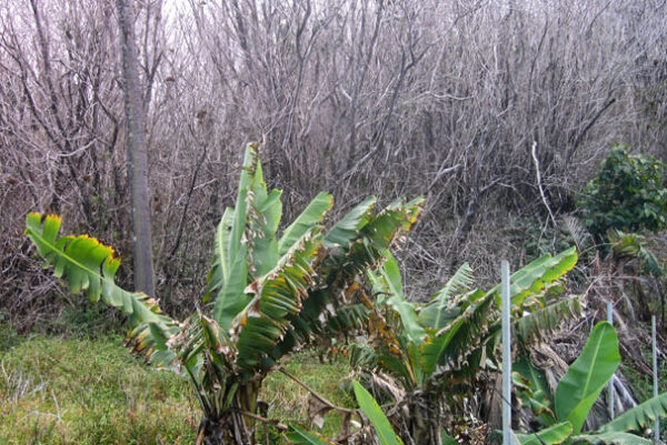 pedagogie-volcan-autrefois-2